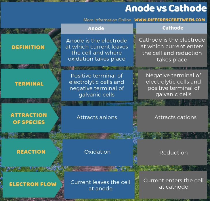 7 segment anode vs cathode