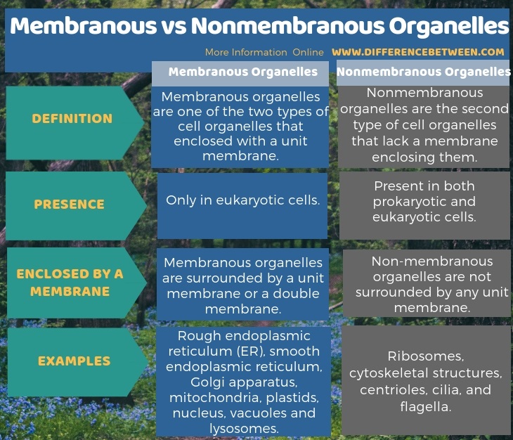 Difference Between Membranous and Nonmembranous Organelles | Compare