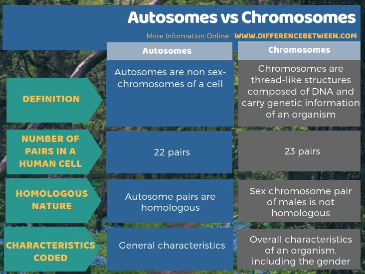 Difference Between Autosomes And Chromosomes Compare The