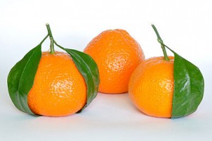 difference between clementine and mandarin