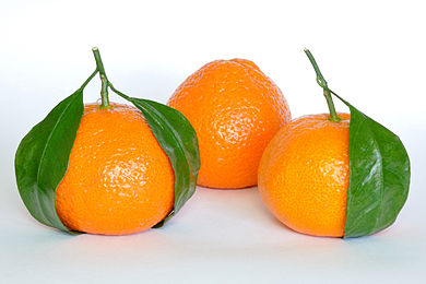 mandarins and clementines