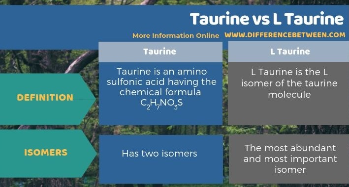 taurine meaning