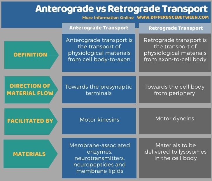 anterograde vs retrograde amnesia