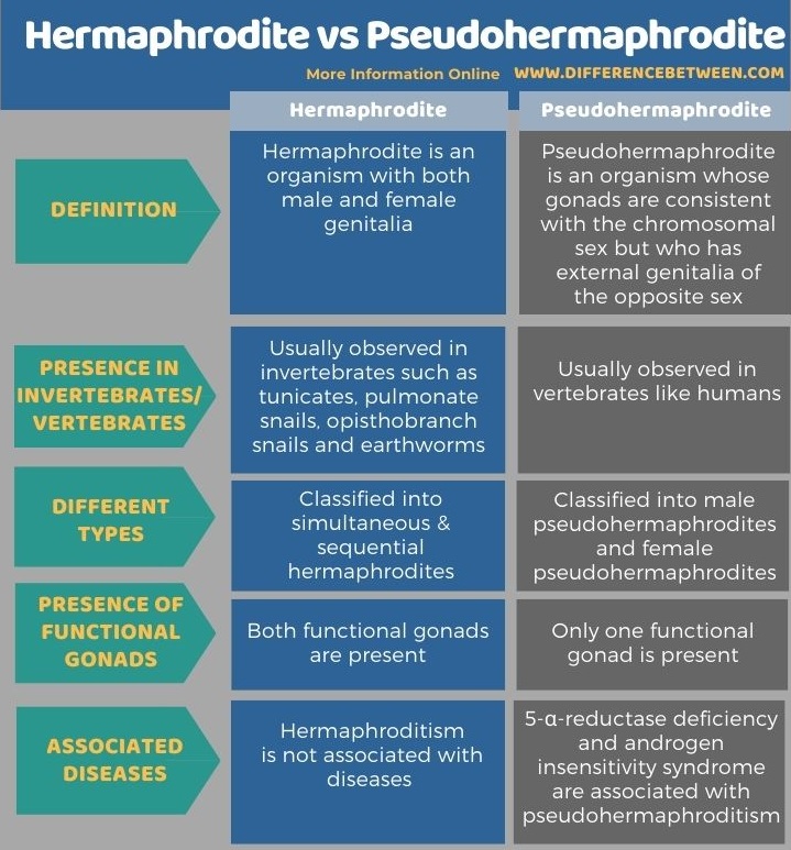 Difference Between Hermaphrodite And Pseudohermaphrodite Compare The Difference Between 8950